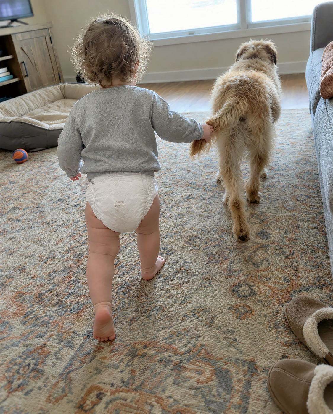 A toddler walking across a rug beside a golden dog, diaper printed return to sender